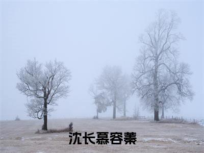 沈长慕容蓁全文免费阅读无弹窗-（沈长慕容蓁）沈长慕容蓁最新章节列表在线阅读