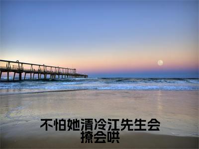 不怕她清冷江先生会撩会哄（何霁月江书砚）全文免费阅读-（何霁月江书砚小说）不怕她清冷江先生会撩会哄最新章节列表