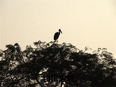 钓饵陈桑周宴京陈桑全文免费阅读无弹窗大结局_周宴京陈桑(钓饵陈桑)全文阅读_笔趣阁