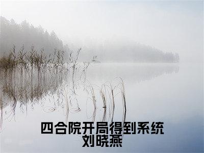 (四合院开局得到系统刘晓燕)全文免费阅读无弹窗大结局_(刘晓燕阅读无弹窗)四合院开局得到系统刘晓燕最新章节列表