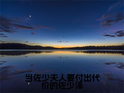 当佐少夫人要付出代价的佐少泽全文免费阅读无弹窗大结局_(向晴天佐少泽)当佐少夫人要付出代价的佐少泽完整版全文在线赏析