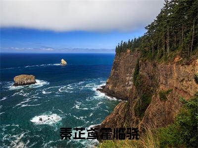 秦芷鸢霍临骁小说（秦芷鸢霍临骁）全文免费阅读无弹窗_（秦芷鸢霍临骁）秦芷鸢霍临骁最新章节列表