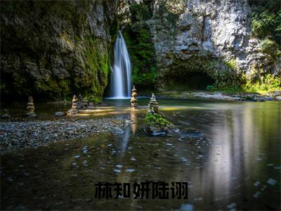 林知妍陆诩全文免费阅读无弹窗大结局_林知妍陆诩最新章节列表笔趣阁