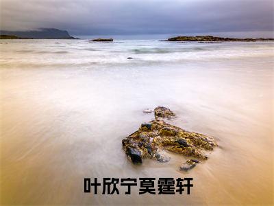 叶欣宁莫霆轩全文免费阅读_(莫霆轩叶欣宁免费阅读无弹窗)叶欣宁莫霆轩最新章节列表笔趣阁