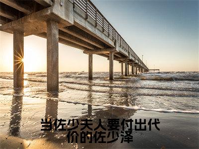 (向晴天佐少泽)全文免费阅读无弹窗大结局当佐少夫人要付出代价的佐少泽免费阅读最新章节精彩免费阅读_笔趣阁