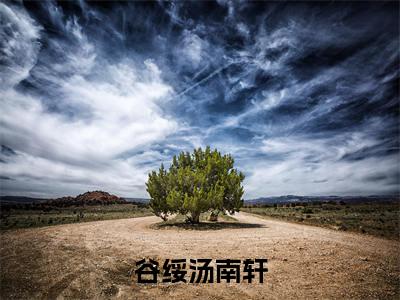 (谷绥汤南轩)谷绥汤南轩新书热荐免费小说-谷绥汤南轩小说全文完整版阅读