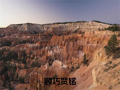 顾巧贺铭(顾巧贺铭)全文免费阅读无弹窗大结局_(顾巧贺铭免费阅读全文大结局)最新章节列表