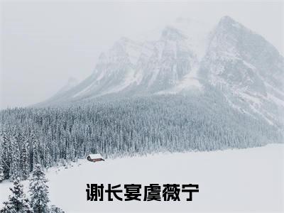 谢长宴虞薇宁(谢长宴虞薇宁)快手热推小说主角谢长宴虞薇宁完整版在线阅读