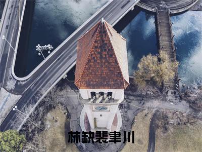 林缺裴聿川(裴聿川林缺)小说全文免费_林缺裴聿川小说(裴聿川林缺)最新章节目录笔趣阁