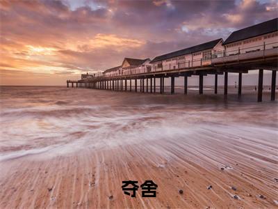 夺舍小说(盛黎瑗瑗)全文免费阅读无弹窗大结局_(盛黎瑗瑗免费阅读)最新章节列表_笔趣阁(盛黎瑗瑗)