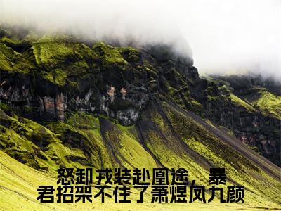 【全文】《萧煜凤九颜》小说txt在线阅读_(萧煜凤九颜全章节)-萧煜凤九颜_怒卸戎装赴凰途,暴君招架不住了萧煜凤九颜在线阅读