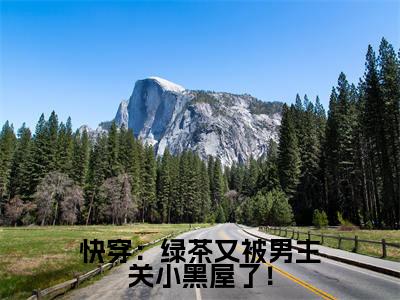 小说顾茶茶全文免费阅读无弹窗大结局_快穿:绿茶又被男主关小黑屋了!完整阅读