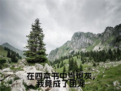 在四本书中当炮灰，我竟成了团宠小说免费阅读叶循许聆风完整版全文大结局
