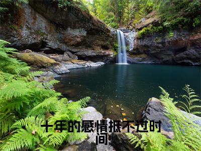 叶浅舒沈蒲容(十年的感情抵不过时间)全文免费阅读无弹窗大结局_(叶浅舒沈蒲容免费阅读)十年的感情抵不过时间无弹窗最新章节列表