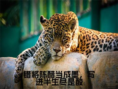 错将陈醋当成墨,写进半生尽是酸(萧誉恒余今安)小说免费阅读无弹窗大结局_(萧誉恒余今安阅读无弹窗)最新章节列表
