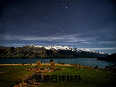 钟枝枝盛逾白(盛逾白钟枝枝)全文阅读完整版_盛逾白钟枝枝小说免费阅读大结局(钟枝枝盛逾白)