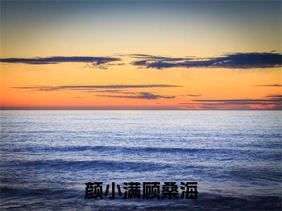 (颜小满顾桑海)在线阅读-主角是(颜小满顾桑海)的小说颜小满顾桑海全文赏析最新章节列表_笔趣阁
