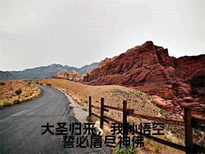 小说(大圣归来,我孙悟空誓必屠尽神佛)免费阅读-小说(孙悟空)大圣归来,我孙悟空誓必屠尽神佛全文在线赏析最新章节列表_笔趣阁
