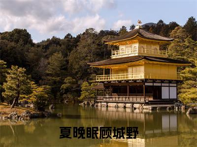 夏晚眠顾城野(夏晚眠顾城野)小说全文免费阅读无弹窗大结局_(夏晚眠顾城野全文免费阅读)夏晚眠顾城野最新章节列表