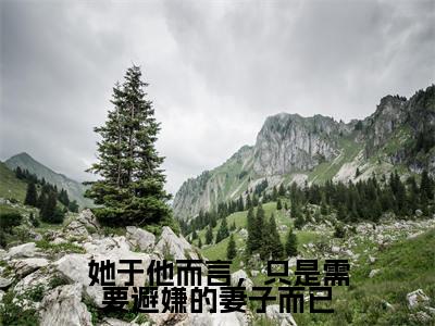 她于他而言,只是需要避嫌的妻子而已(霍锦司叶青禾)全文免费阅读无弹窗大结局_(霍锦司叶青禾)小说免费阅读最新章节列表