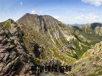 林清瞳段临辞(林清瞳段临辞)免费阅读无弹窗-小说林清瞳段临辞大结局全文免费阅读