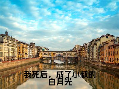 我死后,成了小叔的白月光(季茵芷傅君尧)全文免费阅读大结局_我死后,成了小叔的白月光最新章节列表_笔趣阁