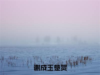 谢成玉楚贺(谢成玉楚贺)全文免费阅读无弹窗大结局_谢成玉楚贺免费最新章节列表_笔趣阁