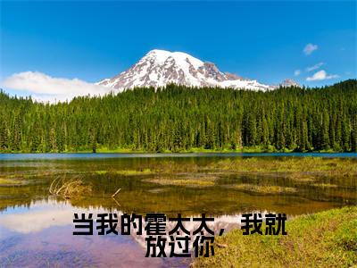 当我的霍太太,我就放过你陆暖霍司铭完整全文在线阅读陆暖霍司铭抖音热推小说全集无删减