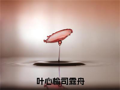 (热推新书)叶心榆司霖舟完整版免费小说无弹窗阅读_叶心榆司霖舟最新章节列表_笔趣阁(叶心榆司霖舟)