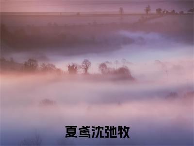 夏鸢沈弛牧(完整版)小说推荐-夏鸢沈弛牧热文小说夏鸢沈弛牧免费阅读全文