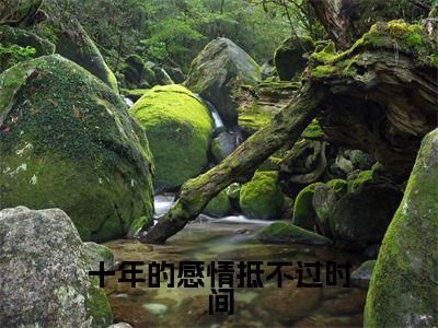 十年的感情抵不过时间(叶浅舒沈蒲容)全文免费阅读-十年的感情抵不过时间(叶浅舒沈蒲容)最新章节小说阅读