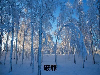 程安(破罪)全文免费阅读无弹窗大结局_程安在线阅读(破罪)