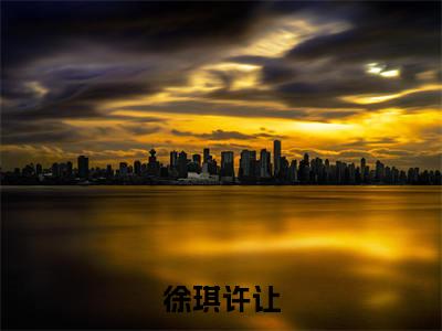 徐琪许让(徐琪许让)全文免费阅读无弹窗大结局_(徐琪许让)徐琪许让全文阅读-笔趣阁