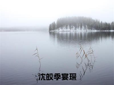 沈皎季宴琛最新章节-(季宴琛沈皎)沈皎季宴琛全文在线阅读无弹窗
