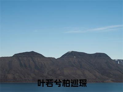 叶若兮柏巡琛(叶若兮柏巡琛)小说在线阅读_叶若兮柏巡琛全本免费小说阅读大结局(叶若兮柏巡琛)