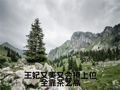 林晚是哪部小说的主角,王妃又美又会撩上位全靠茶艺高全文无弹窗完整版阅读