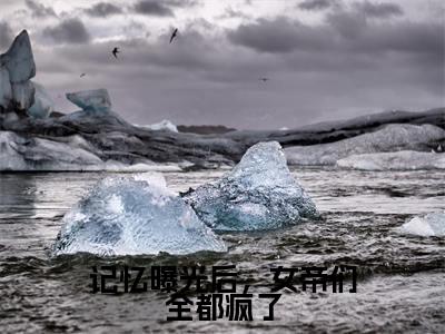 (林无名)是什么小说-(记忆曝光后,女帝们全都疯了)无弹窗免费阅读大结局最新章节列表_笔趣阁