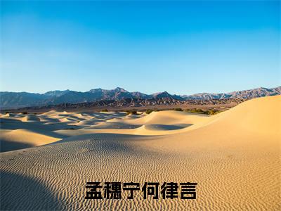 孟穗宁何律言小说全文免费阅读_(孟穗宁何律言)何律言孟穗宁最新章节列表笔趣阁