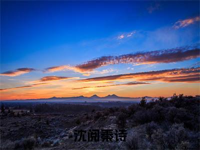 沈阅秦诗热门小说目录推荐秦诗沈阅全文完整版阅读