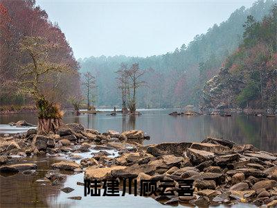 陆建川顾云喜(顾云喜陆建川)小说免费阅读无弹窗大结局_(顾云喜陆建川阅读无弹窗)最新章节列表