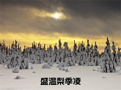 盛温梨季凌全文小说(季凌盛温梨)全文阅读-盛温梨季凌在线小说免费阅读
