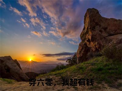 穿六零,我超有钱(沈舒月)全文免费阅读无弹窗大结局_(沈舒月免费阅读全文大结局)最新章节列表