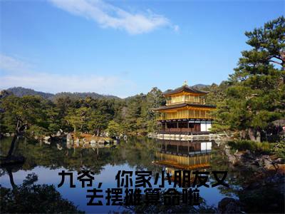 夏笙沈砚尘(九爷,你家小朋友又去摆摊算命啦)全文免费阅读无弹窗大结局_九爷,你家小朋友又去摆摊算命啦小说最新章节列表_笔趣阁(夏笙沈砚尘)