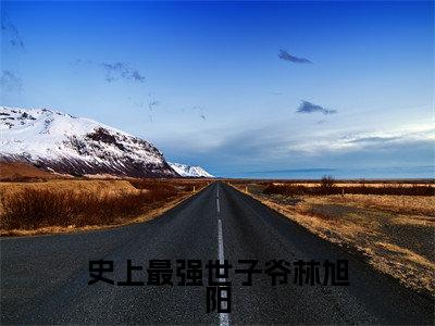 史上最强世子爷林旭阳小说全文(林旭阳)全文免费阅读无弹窗大结局_史上最强世子爷林旭阳小说全文最新章节列表