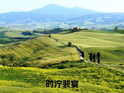 时泞裴宴(裴宴时泞)全文免费读无弹窗大结局_时泞裴宴免费阅读全文大结局最新章节列表