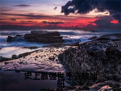 史上最强世子爷林旭阳(林旭阳)全文免费在线阅读_史上最强世子爷林旭阳全文免费阅读无弹窗大结局