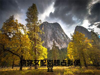 快穿女配别想占我便宜(珞沉)全文免费阅读无弹窗大结局_快穿女配别想占我便宜最新章节列表