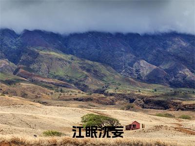 江眠沈妄无广告小说(沈妄江眠)全文免费阅读无弹窗大结局-江眠沈妄在线阅读