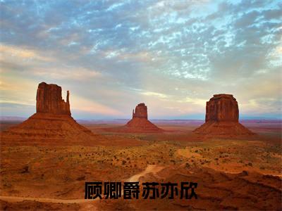 小说(顾卿爵苏亦欣)在线赏析_顾卿爵苏亦欣txt小说在线阅读笔趣阁