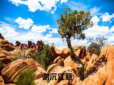 谢沉江慈(江慈谢沉)小说全文免费阅读_(江慈谢沉)小说全文无删减版在线阅读